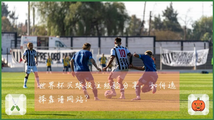 世界杯买球投注经验分享，如何选择靠谱网站？