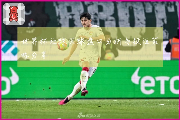 世界杯让球买球盘口分析与投注策略分享