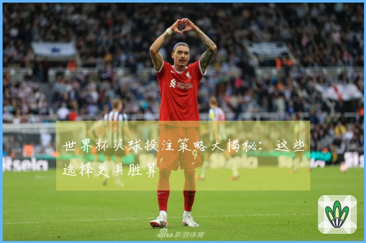世界杯买球投注策略大揭秘：这些选择更具胜算