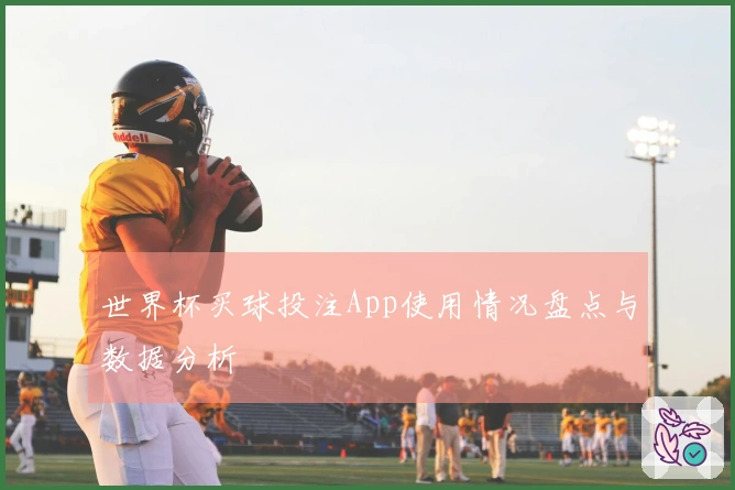 世界杯买球投注App使用情况盘点与数据分析